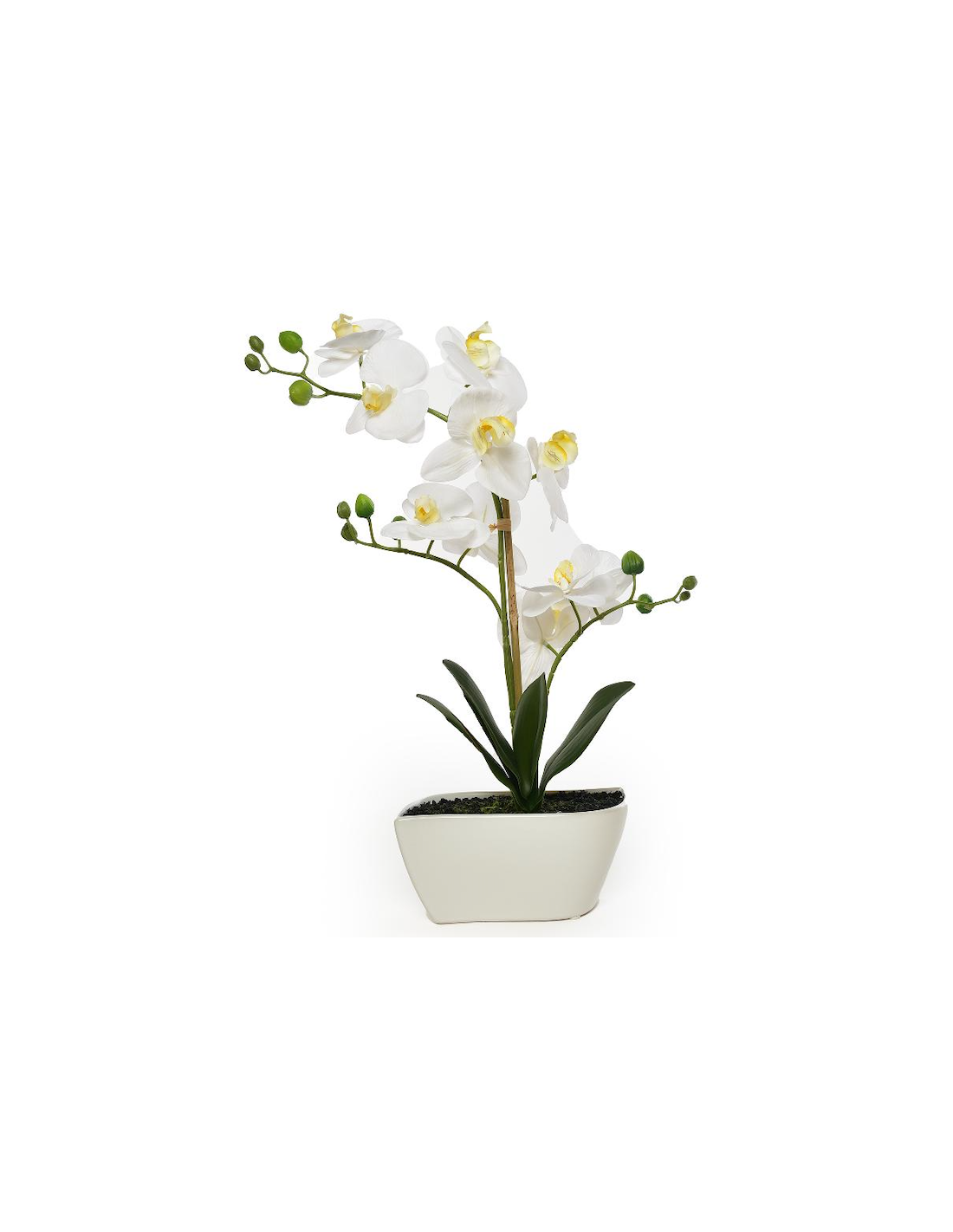ORCHIDEA 21499 VASO CERAMICA 20X8X47CM BIANCO