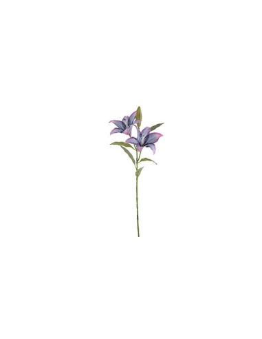 FIORE 6951-20 COPPIA LILIUM BLU/VIOLA