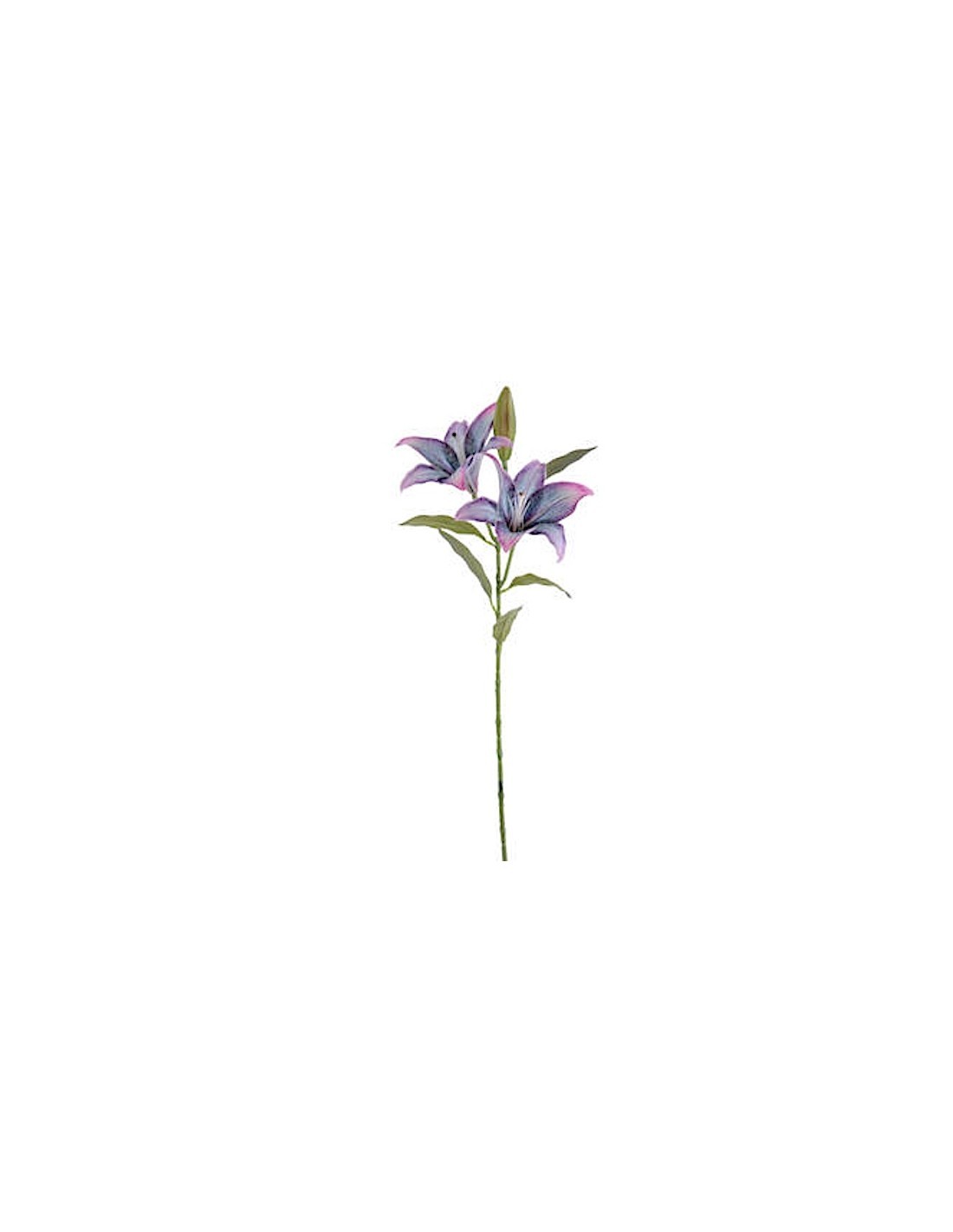FIORE 6951-20 COPPIA LILIUM BLU/VIOLA