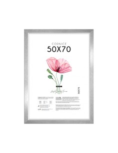 CORNICE QUADRA 50X70 ARGENTO