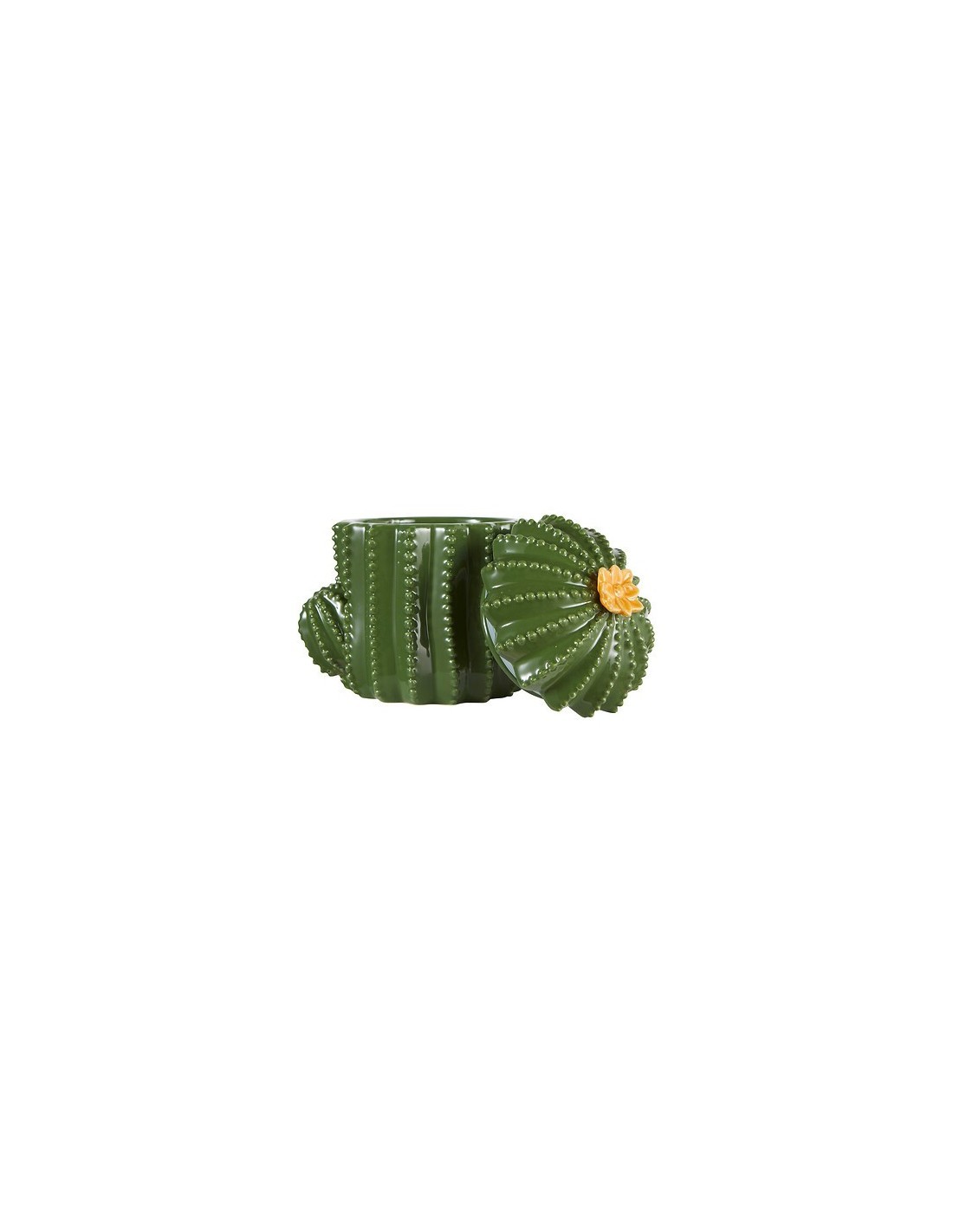 Scatola Decorativa Yucatan in Ceramica Dolomite Verde, 15,5 x 11 x 16 cm