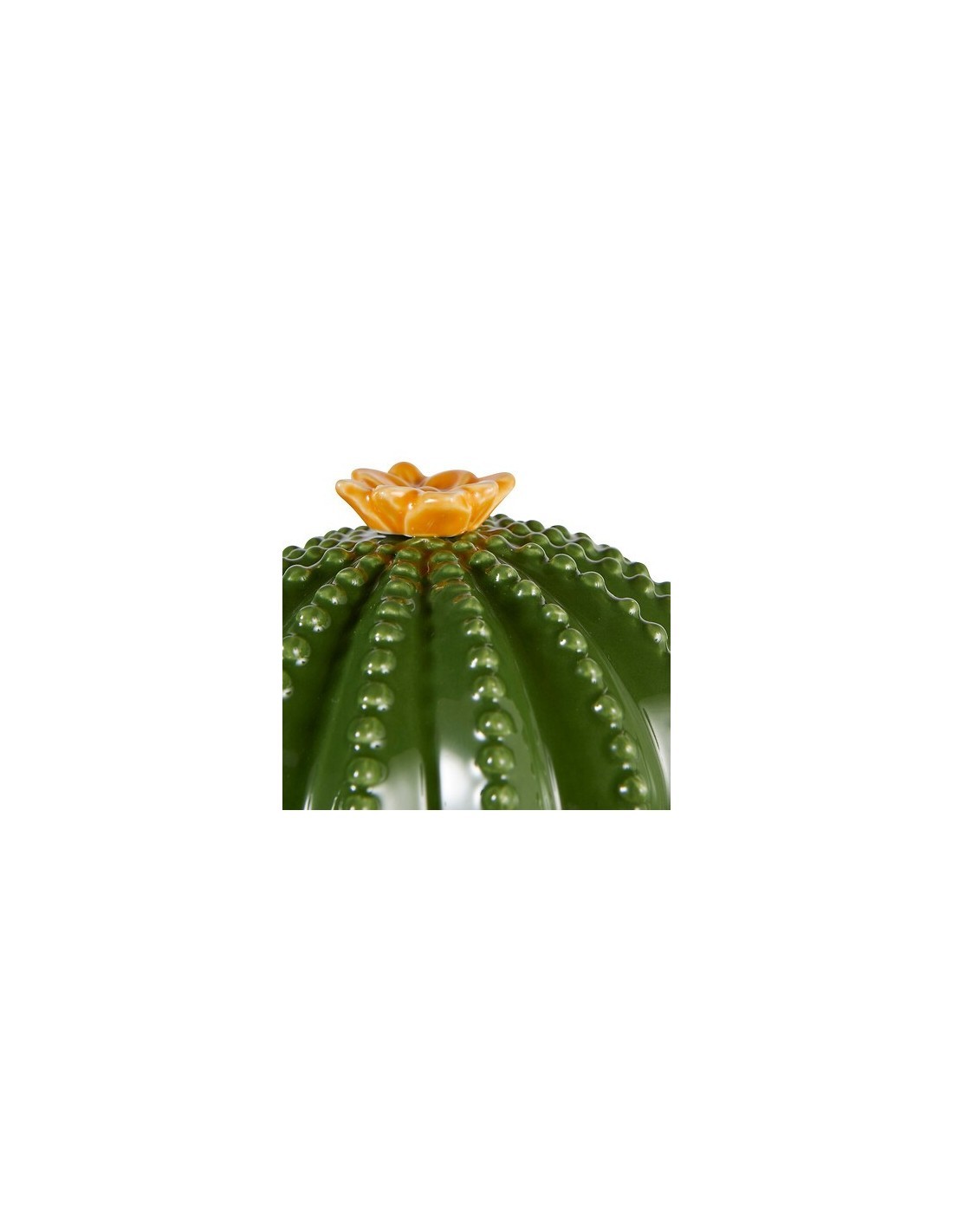 Scatola Decorativa Yucatan in Ceramica Dolomite Verde, 15,5 x 11 x 16 cm