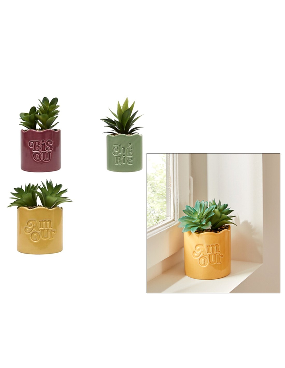 Pianta perenne, Chéri, H. 17 cm, vaso in ceramica assortito, 13 x 10 x 14,5 cm