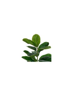 Ficus artificiale, con vaso in ceramica scanalata, multicolore, altezza 145 cm, 58 x 58 x 145 cm