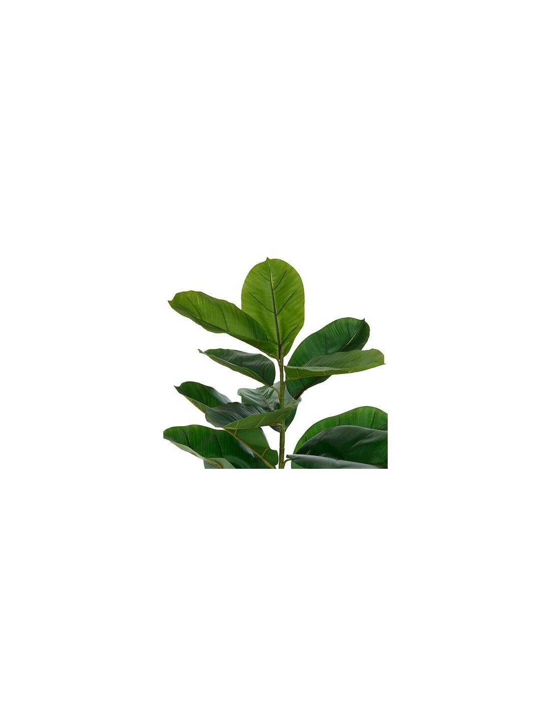 Ficus artificiale, con vaso in ceramica scanalata, multicolore, altezza 145 cm, 58 x 58 x 145 cm