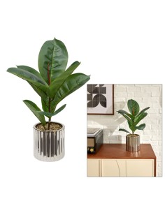Ficus artificiale, con vaso in ceramica argentata, multicolore, altezza 54 cm, 34 x 34 x 54 cm