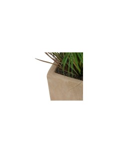 Palma artificiale, con vaso in ceramica beige, multicolore, altezza 142 cm, 60 x 60 x 142 cm 2