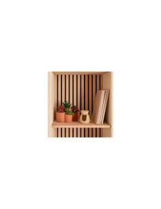 Pianta grassa Wonj, altezza 20 cm, vaso in terracotta, collezione Wonja