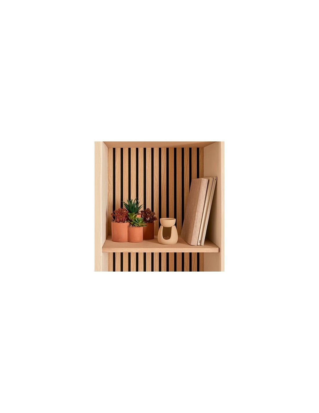 Pianta grassa Wonj, altezza 20 cm, vaso in terracotta, collezione Wonja