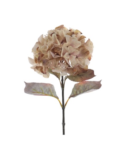FIORE 2005-46 HYDRANGEA RUSTIC MARMOL