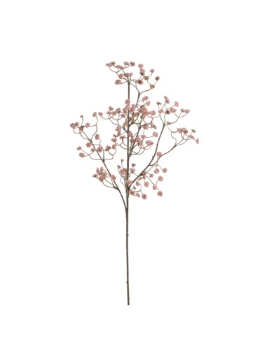 STELO 2393-12 GYPSOPHILA ROSA