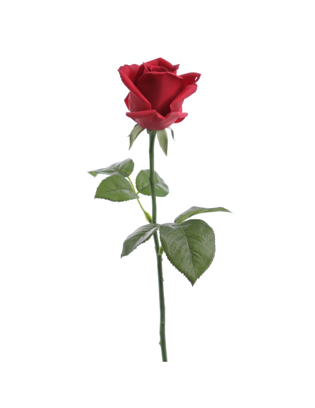 STELO 6936-08 ROSA ROSSO