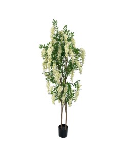 PIANTA 7585-01 GLICINE 190CM