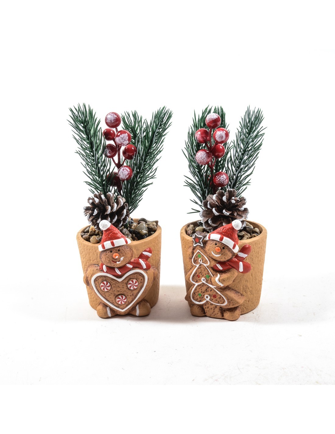 Piantina di Natale H18 cm in vaso ceramica assortito, decorazione festiva elegante, La magia di natale per la tua casa