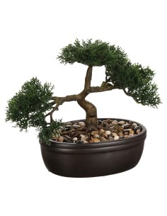 PIANTA 103379 BONSAI 23CM su TreG Ingrosso