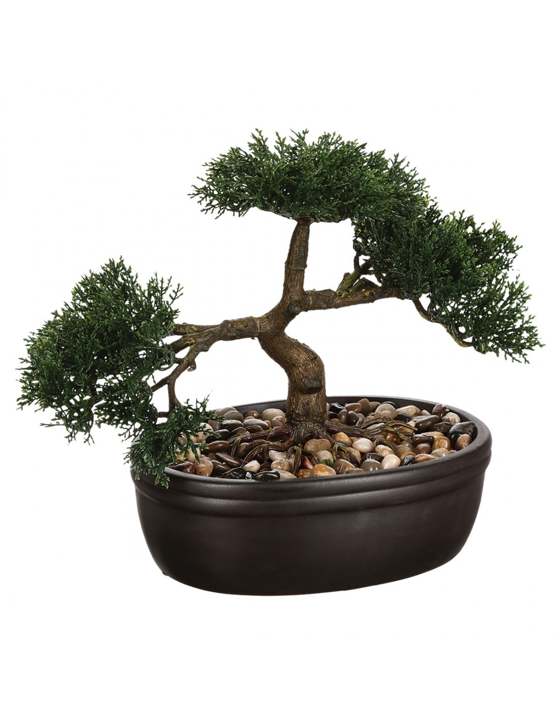 PIANTA 103379 BONSAI 23CM su TreG Ingrosso
