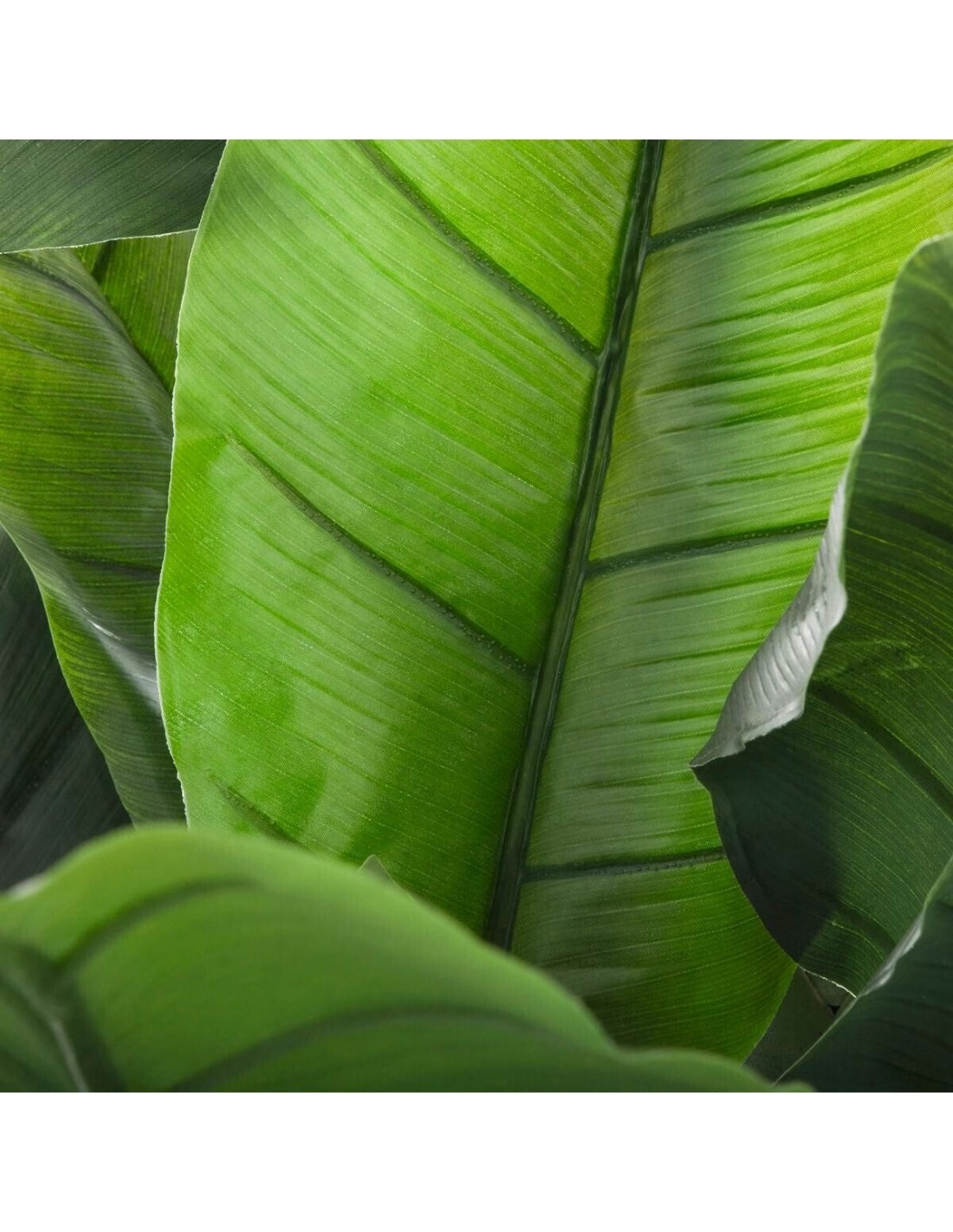 Banano Finto Atmosphera H170 cm – Pianta Artificiale da Interno