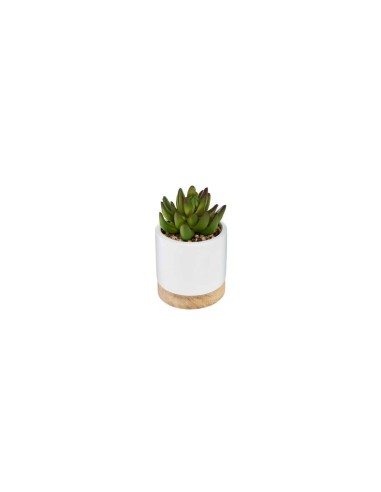 PIANTA 164284 VASO CERAMICA/LEGNO 9X12CM su TreG Ingrosso