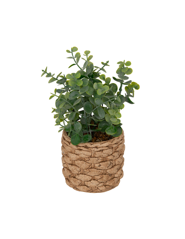 Eucalipto artificiale in vaso Jaye multicolore H 27 cm