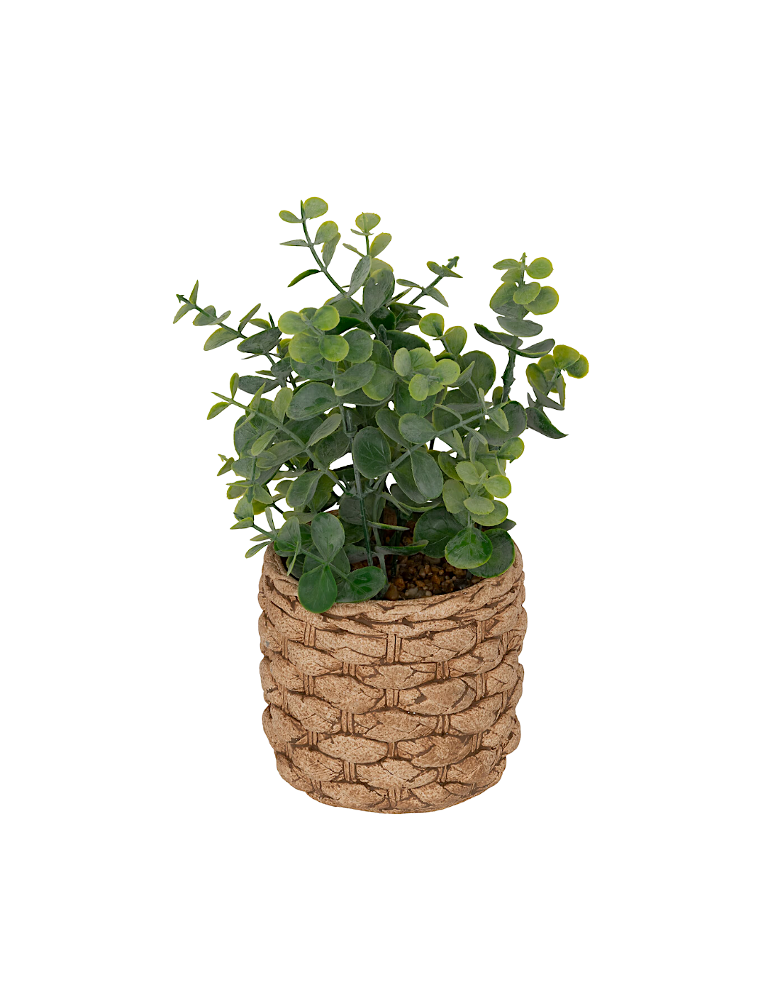 Eucalipto artificiale in vaso Jaye multicolore H 27 cm