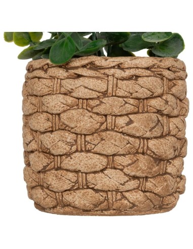 Eucalipto artificiale in vaso Jaye multicolore H 27 cm