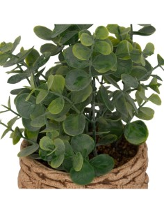 Eucalipto artificiale in vaso Jaye multicolore H 27 cm