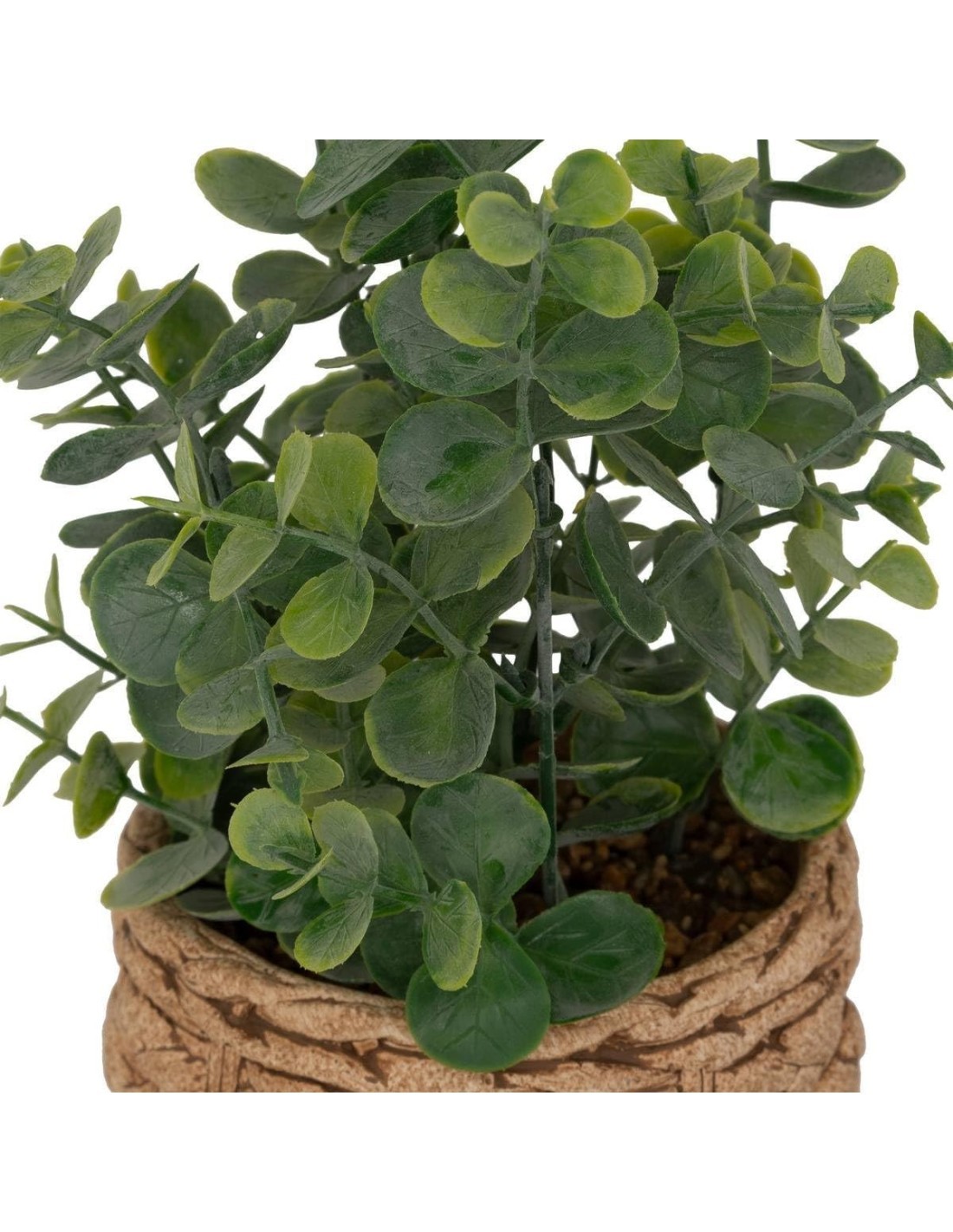 Eucalipto artificiale in vaso Jaye multicolore H 27 cm