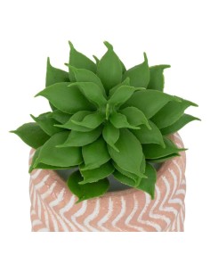 Pianta artificiale piccolo formato Ubi Atmosphera H 7 cm modelli assortiti 2