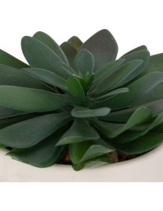 Pianta artificiale Dusty Atmosphera H 16 cm varianti assortite