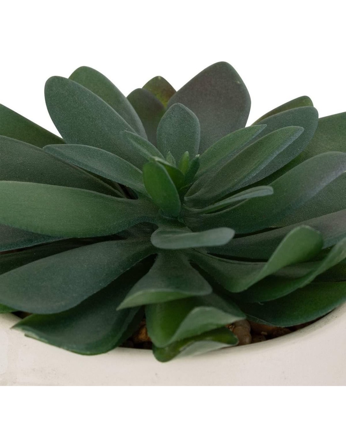 Pianta artificiale Dusty Atmosphera H 16 cm varianti assortite