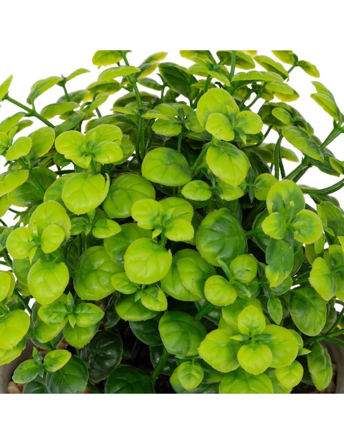 Pianta artificiale Dusty Atmosphera H 16 cm varianti assortite