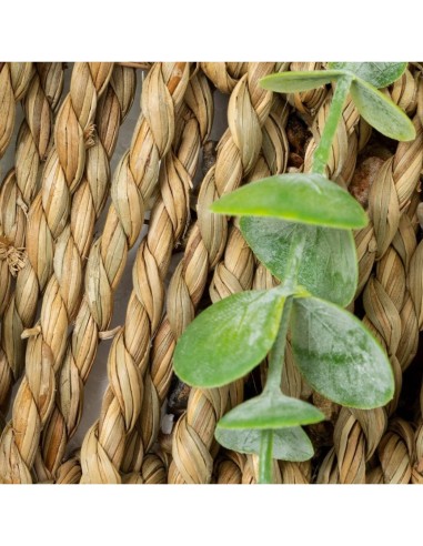 Pianta artificiale pensile Zea Atmosphera A 70 cm