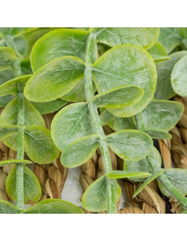 Pianta artificiale pensile Zea Atmosphera A 70 cm