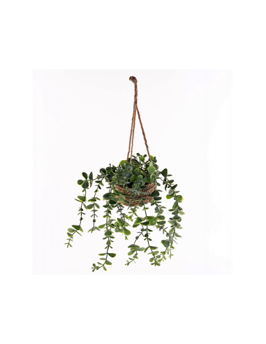 Pianta artificiale sospesa Patri Atmosphera H 47 cm modelli assortiti