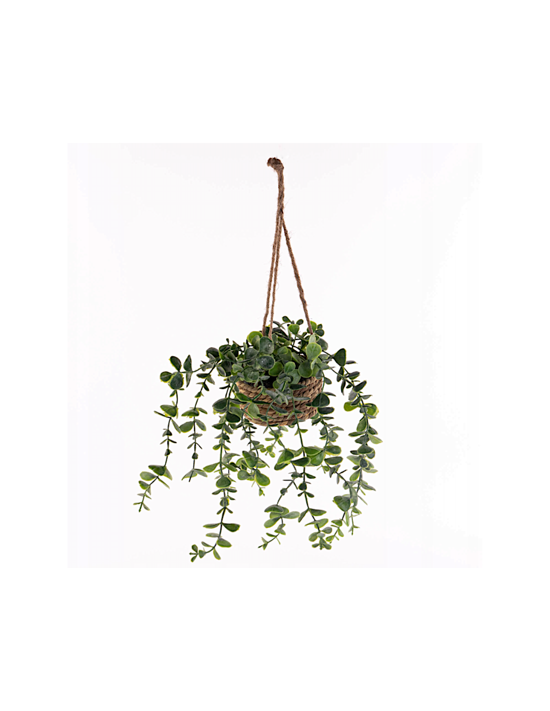 Pianta artificiale sospesa Patri Atmosphera H 47 cm modelli assortiti