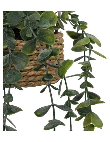 Pianta artificiale sospesa Patri Atmosphera H 47 cm modelli assortiti