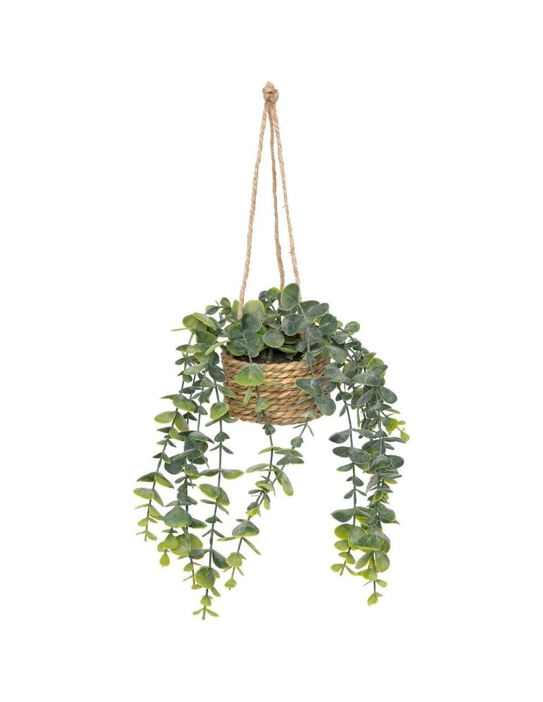 Pianta artificiale sospesa Patri Atmosphera H 47 cm modelli assortiti