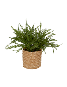 Felce artificiale in vaso Clemy Atmosphera H 45 cm verde