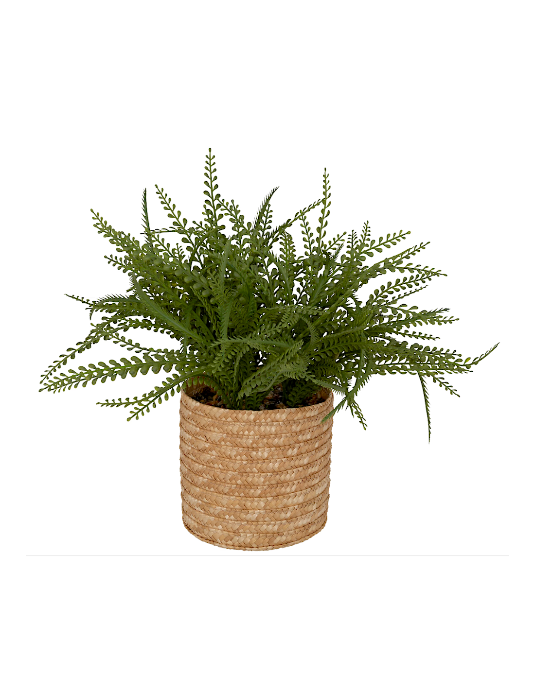 Felce artificiale in vaso Clemy Atmosphera H 45 cm verde