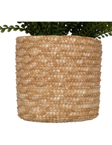 Felce artificiale in vaso Clemy Atmosphera H 45 cm verde