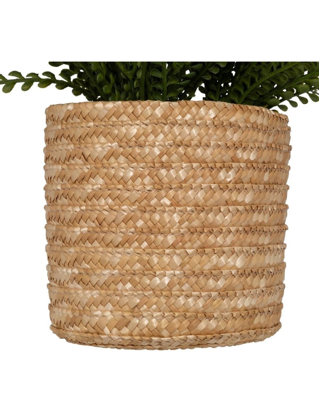 Felce artificiale in vaso Clemy Atmosphera H 45 cm verde