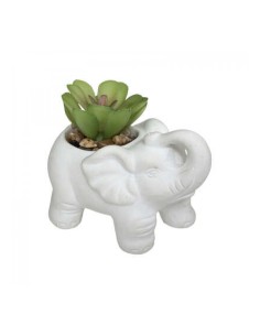 PIANTINA 181499 CON VASO CEMENTO ELEFANTE 10CM su TreG Ingrosso