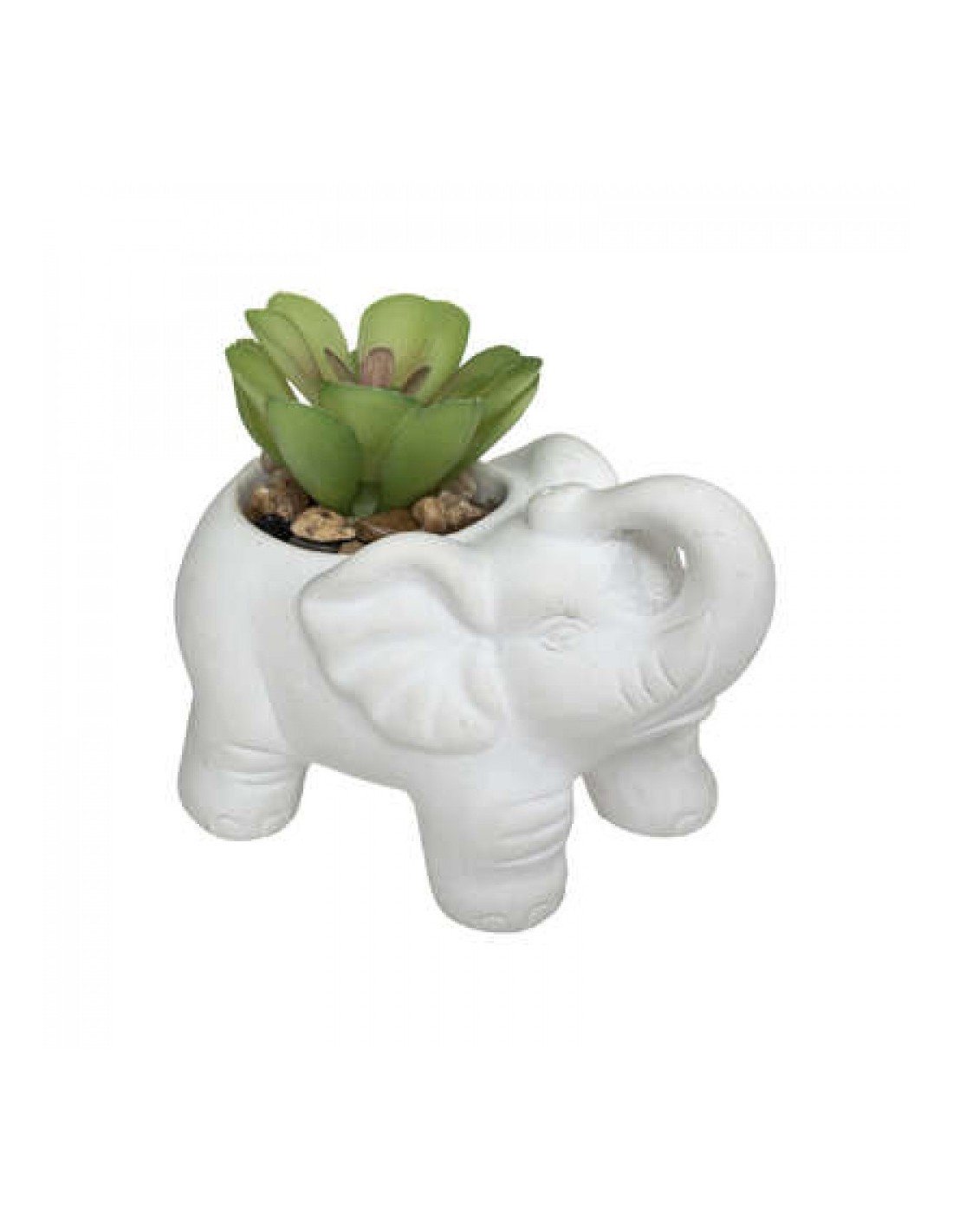 PIANTINA 181499 CON VASO CEMENTO ELEFANTE 10CM su TreG Ingrosso