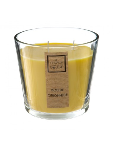 CANDELA 123000CIX CITRONELLA 500GR su TreG Ingrosso