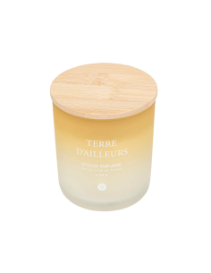 Candela profumata Terre d’Ailleurs Petali di Muschio 255 g – Atmosphera