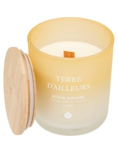 Candela profumata Terre d’Ailleurs Petali di Muschio 255 g – Atmosphera 2