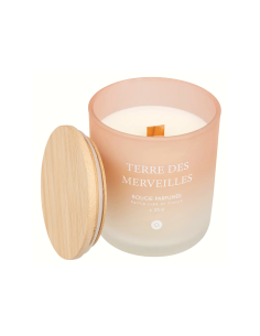Candela profumata Terre des Merveilles Petali di Muschio 255 g – Atmosphera