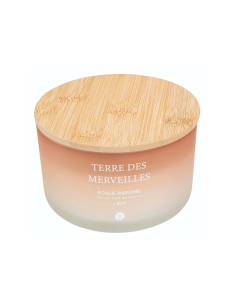 Candela profumata Terre des Merveilles Petali di Muschio 420 g – Atmosphera