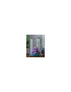 Vaso Oxford in vetro 19x30 cm – Eleganza e stile senza tempo