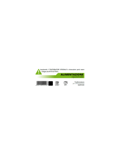 Aroma Diffuser di Natale Trenino 21cm, LED Bianco Caldo e Color, Music, 3 Funzioni, Batteria o Trasformatore 2